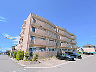 愛知県弥富市平島東2丁目：物件画像／株式会社ミニミニ　弥富店
