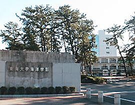 園ハイツ  ｜ 静岡県静岡市清水区幸町（賃貸アパート1K・2階・25.00㎡） その21