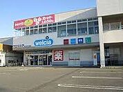 ドラッグストア 「ウエルシア清水西久保店まで968m」