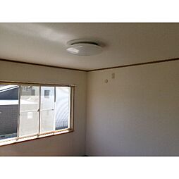 セノーテ 1LDKの写真