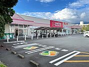 スーパー「マックスバリュ沼津原町西店まで882m」
