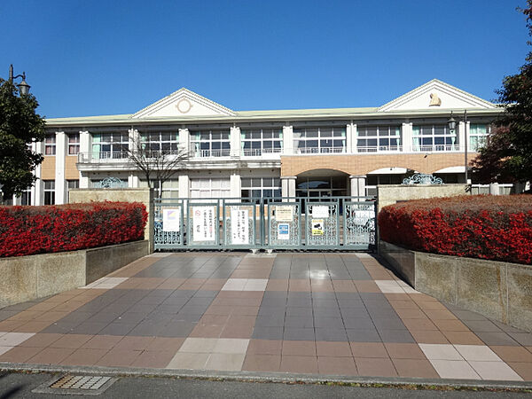 画像25:小学校「富士市立富士中央小学校まで1005m」