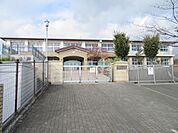 小学校「富士市立青葉台小学校まで976m」