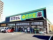 ドラッグストア 「杏林堂薬局富士永田店まで355m」
