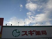 スーパー「スギ薬局袋井川井店まで750m」