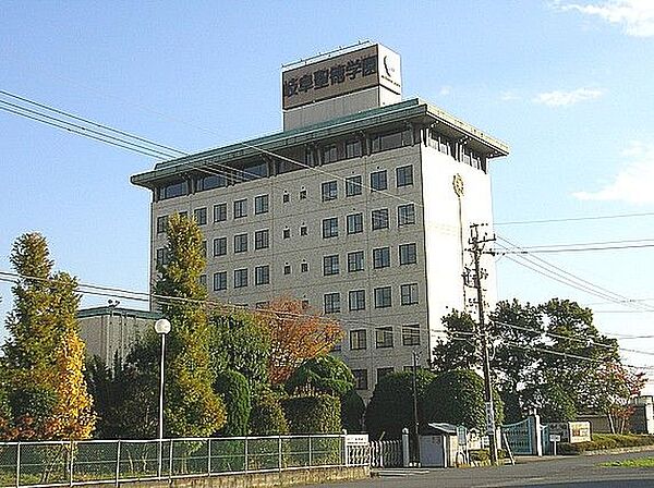 画像25:大学「岐阜聖徳学園大学羽島キャンパスまで800m」