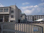 小学校「岐阜市立島小学校まで1145m」