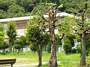 幼稚園、保育園「梅林保育園まで490m」