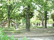 公園「本荘公園まで416m」