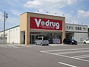 ドラッグストア 「Ｖ・ｄｒｕｇ　加納店まで750m」