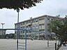 周辺：小学校「岐阜市立市橋小学校まで1184m」