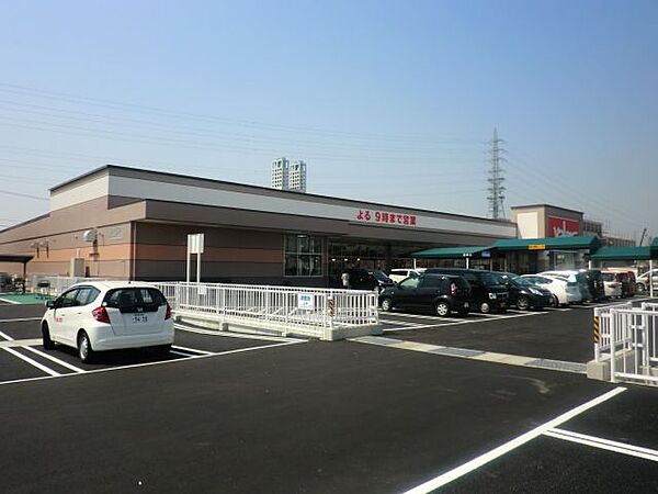 画像26:ショッピング施設「バロー　中ノ江店まで500m」