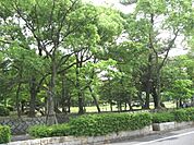 公園「大垣公園まで320m」