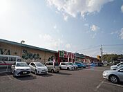 スーパー「コノミヤまで1500m」