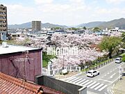春は桜が綺麗に見えます