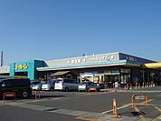 ホームセンター「ユーホームまで2100m」