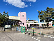 幼稚園、保育園「土田保育園まで798m」