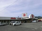 その他「スマイル付知店まで580m」