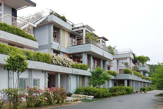 バラッド_周辺_1