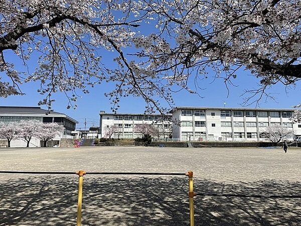 画像17:小学校「関市立倉知小学校まで406m」
