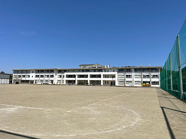 画像20:小学校「関市立富岡小学校まで785m」