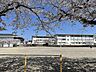 周辺：小学校「関市立倉知小学校まで585m」
