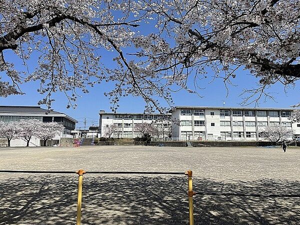 画像4:小学校「関市立倉知小学校まで1318m」