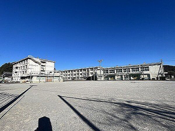画像24:小学校「岐阜市立芥見小学校まで701m」