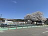 周辺：幼稚園、保育園「富岡保育園まで890m」