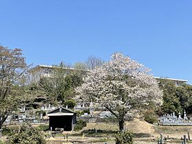 リバーサイド藍川  ｜ 岐阜県美濃市横越（賃貸マンション3LDK・1階・72.87㎡） その17