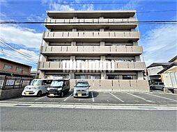 シダーフィールド