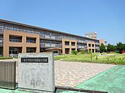 小学校「国立三重大学教育学部附属小学校まで510m」