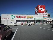 ドラッグストア 「スギ薬局藤方店まで274m」