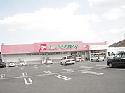 ドラッグストア 「モリヤマまで370m」