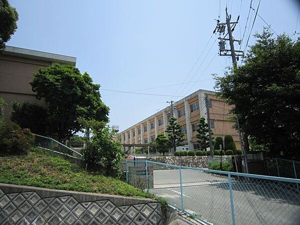 画像3:小学校「桑名市立大成小学校まで918m」
