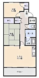 グリーンフォレスト