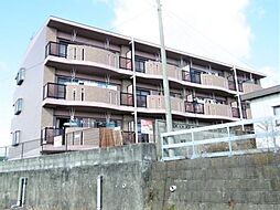 ハーモニー玉城