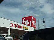 ドラッグストア 「スギ薬局まで880m」