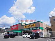 キリン堂高槻野田店 703m