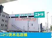 ニトリ 1600m