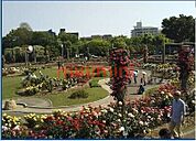 若園公園 708m