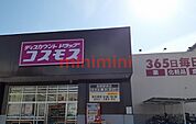 コスモス 350m