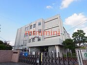 高槻市立如是小学校 413m