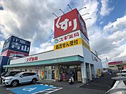 ドラッグストア 「スギ薬局まで2000m」