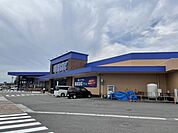 スーパー「マルヤスまで2900m」