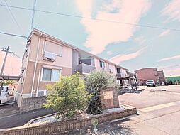 Ｐｒｉｍａｒｙ