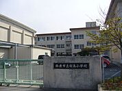 小学校「市立桜島小学校まで490m」