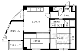 シェモア19