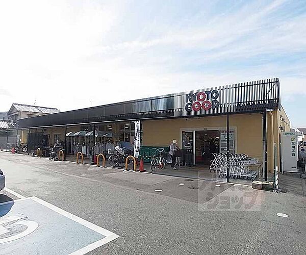 画像15:コープ生協長岡店まで150m