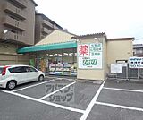 ドラッグひかり 嵯峨店まで180m